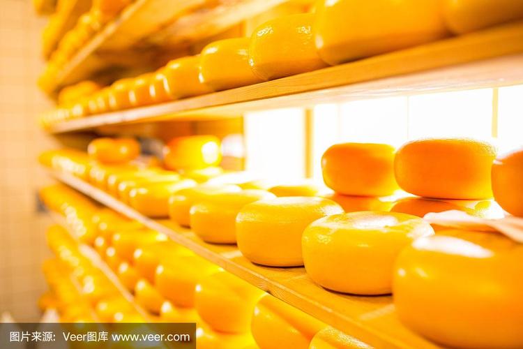 荷蘭乳制品的瑰寶 奶酪的傳承與創(chuàng)新